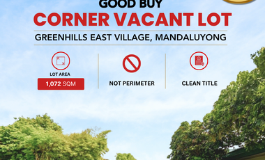 GOOD BUY! Corner Vacant Lot in Greenhills East Village Brgy. Wack Wack Mandaluyong City