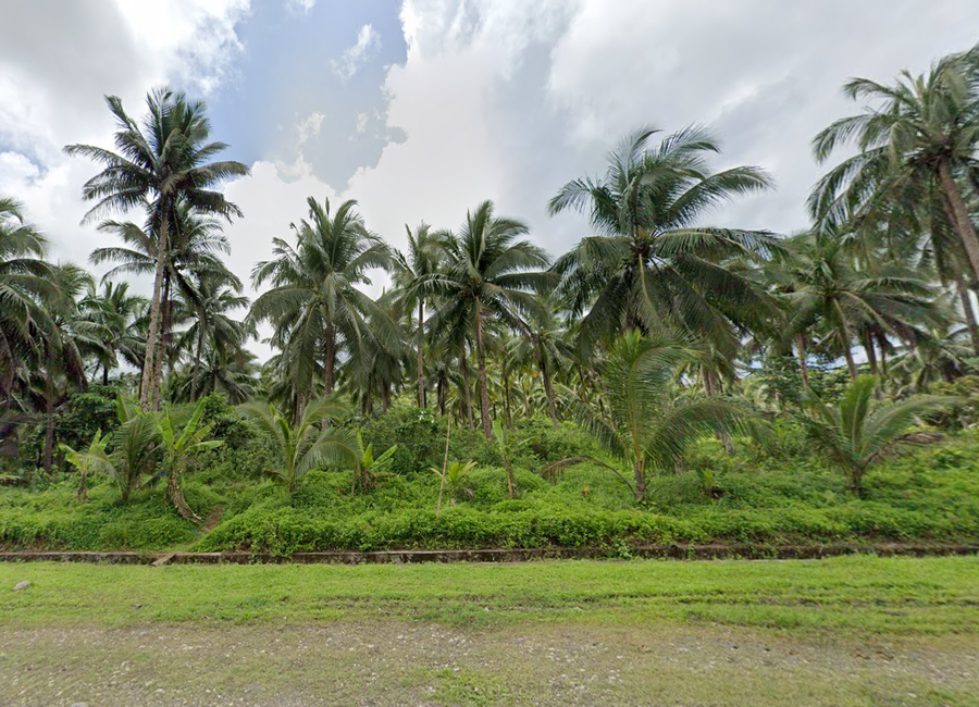 Tayabas - Mauban Road, Palale, Tayabas, Quezon