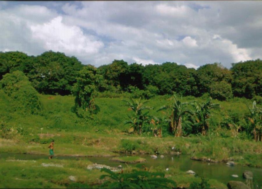Malalim, Mahabang Dahilig, Batangas, Batangas image 3