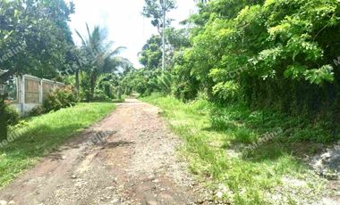 Farm lot for Sale in Baranggay 5, Amadeo Cavite near EastWest Bypass Road