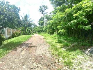 Farm lot for Sale in Baranggay 5, Amadeo Cavite