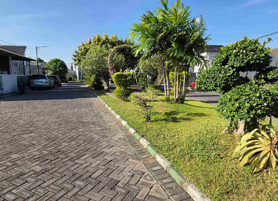 place photo 30