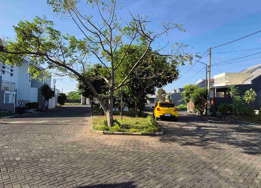place photo 33