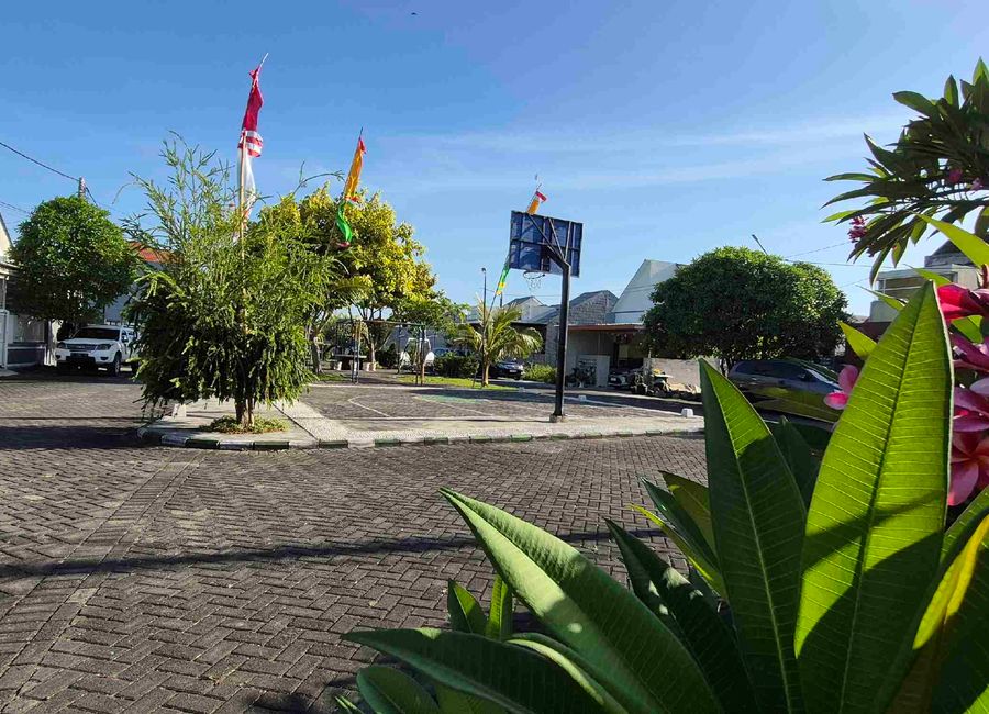 place photo 36