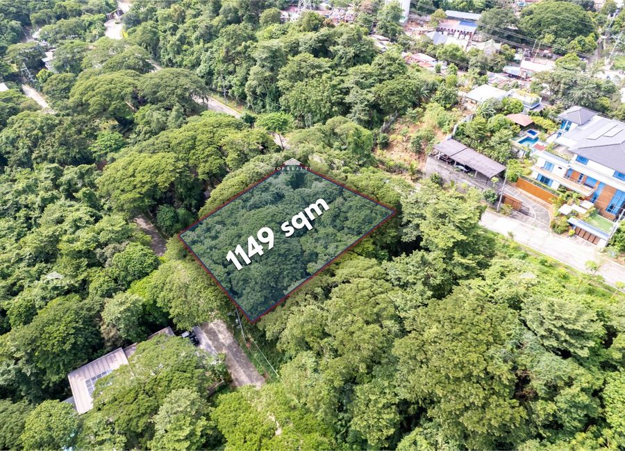 DOMSA, Sitio Labahan, San Isidro, Angono, Rizal