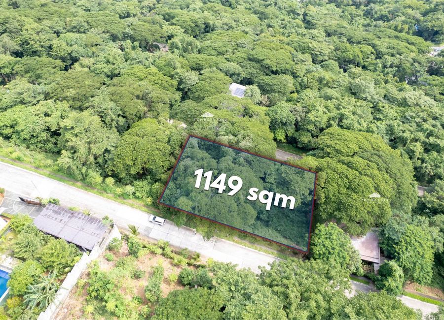 DOMSA, Sitio Labahan, San Isidro, Angono, Rizal image 3