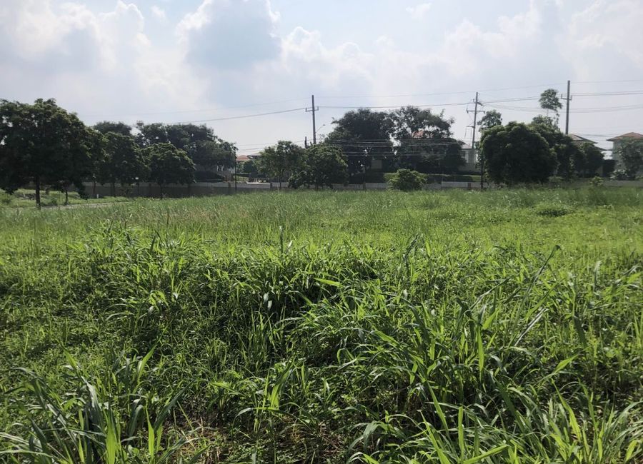 Lumira, Canlubang, Calamba, Laguna image 3