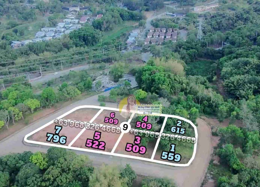 Forest Hills Avenue, Lower Tulakin, Bagong Nayon, Antipolo, Rizal