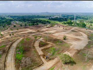 South Palmgrove