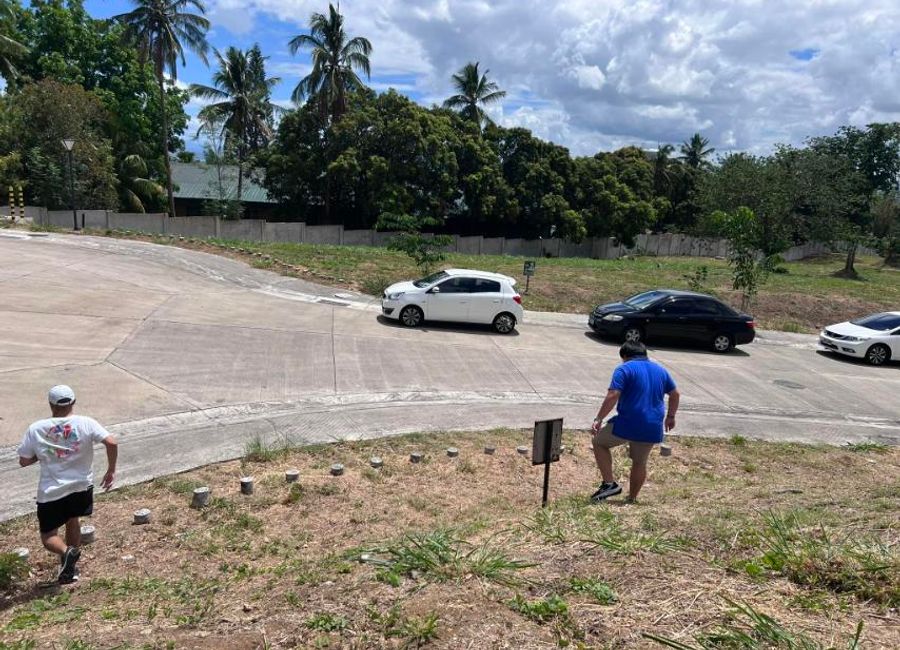 Spine Road, Ayala Greenfield Estates, Maunong, Calamba, Laguna image 3