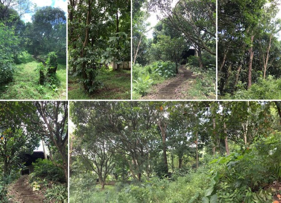 Antipolo, Rizal image 2