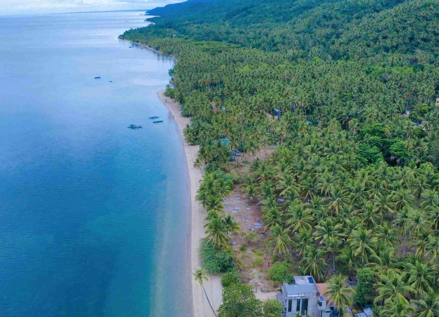 Ibabang Yuri, Quezon image 2