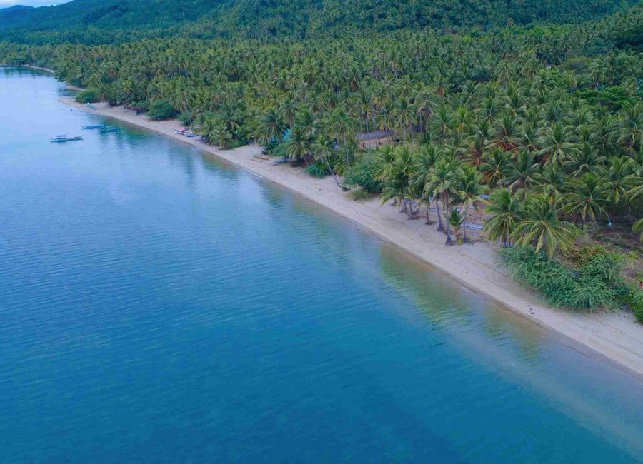 Ibabang Yuri, Quezon image 3