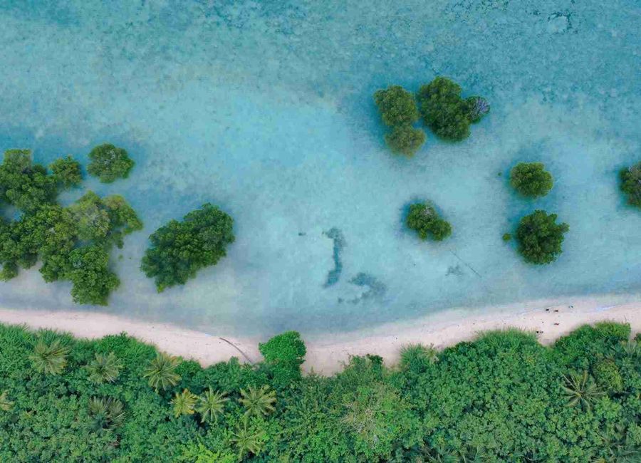Punta, Quezon image 2