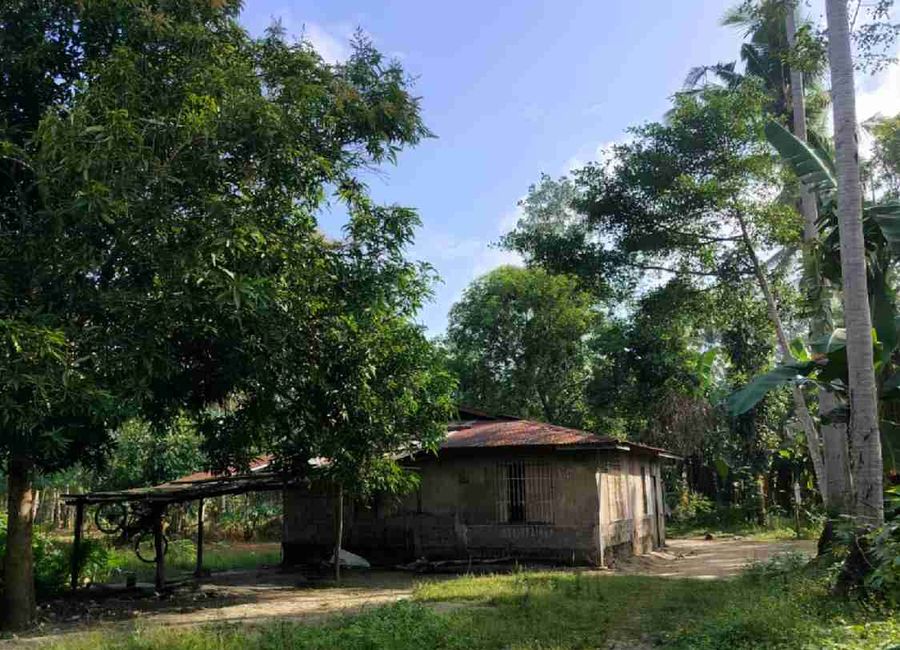 Callejon, San Antonio, 2nd District, Quezon
