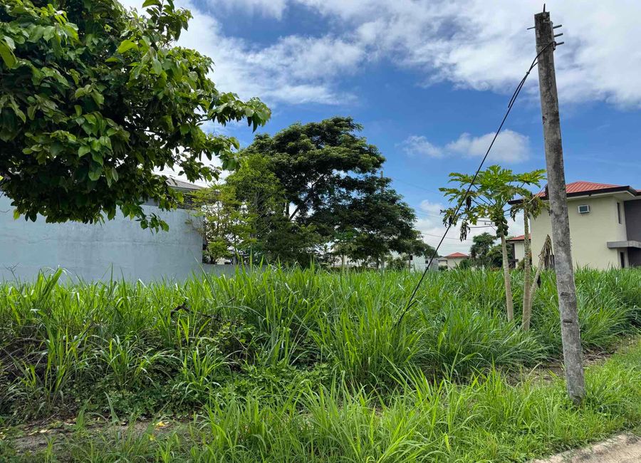 Amazon Street, Avida Woodhill Settings, Canlubang, Calamba, Laguna image 3