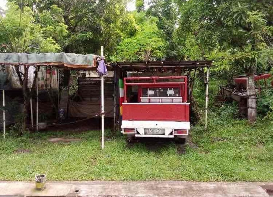 Avocado, UPEHCO, Antipolo, Rizal