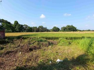Tanah Kedungu Full View Sawah