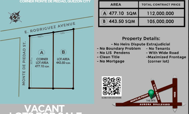 E. RODRIGUEZ VACANT LOT FOR SALE