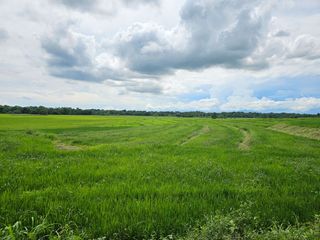 For Sale! 2.6 Ha. Agricultural Land in San Ildefonso, Bulacan
