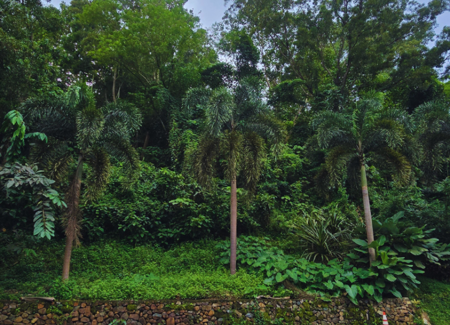 Parkridge Drive, Park Ridge, Santa Cruz, Antipolo, Rizal