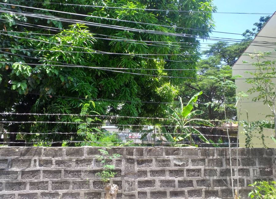 Rizal Boulevard, Malusak, Santa Rosa, Laguna image 3