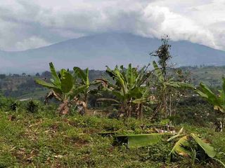 di jual tanah kebun murah di Cicurug sukabumi