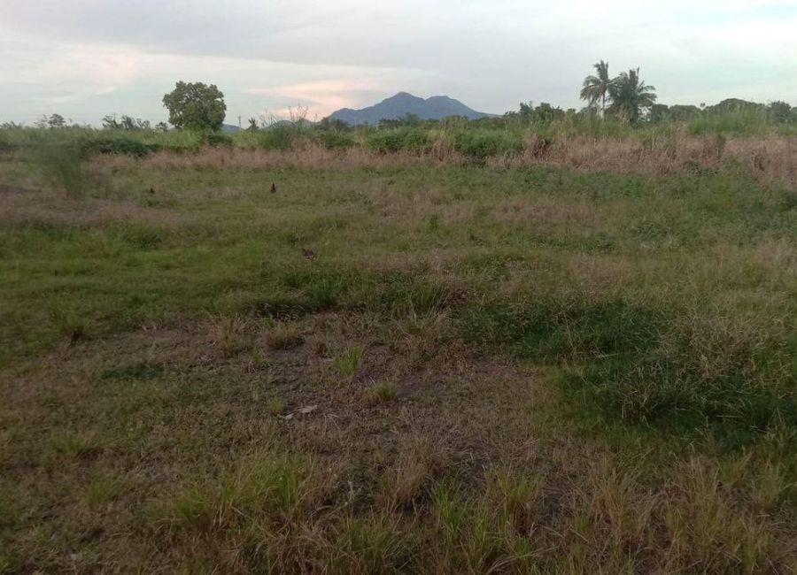 Toong, Tuy, Batangas