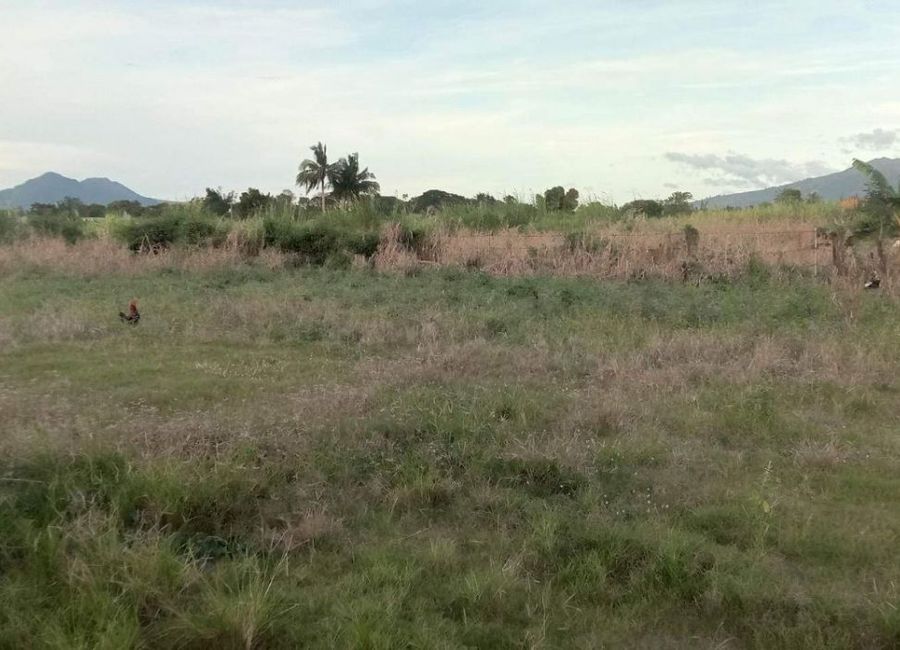 Toong, Tuy, Batangas image 2