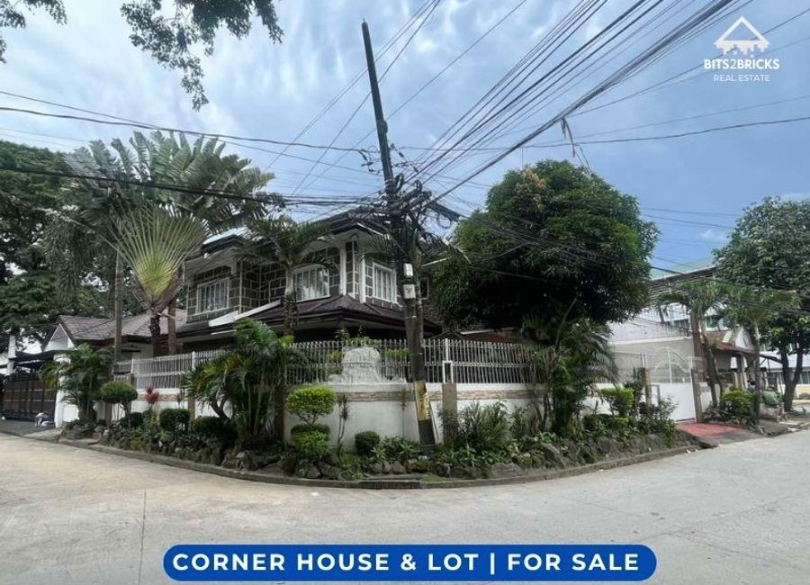 Herrera Avenue, BRAI - Area 5, Cainta, Rizal image 2