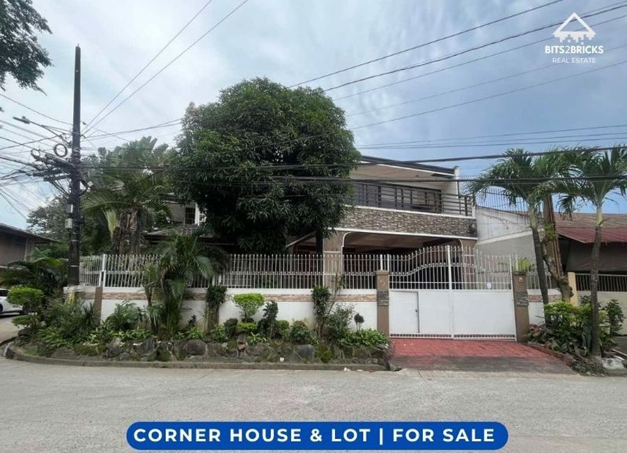Herrera Avenue, BRAI - Area 5, Cainta, Rizal image 3