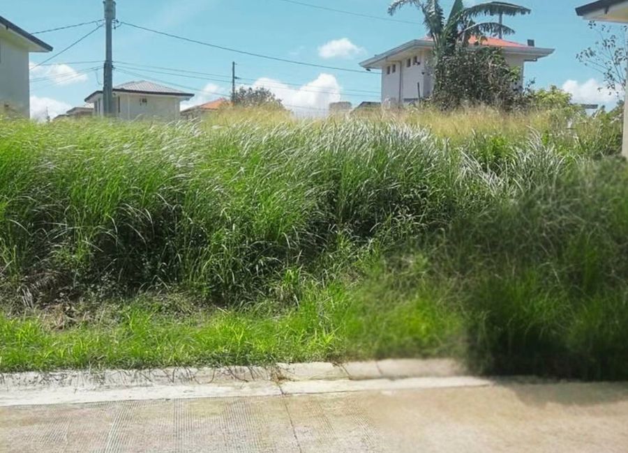 Amazon Street, Avida Woodhill Settings, Canlubang, Calamba, Laguna