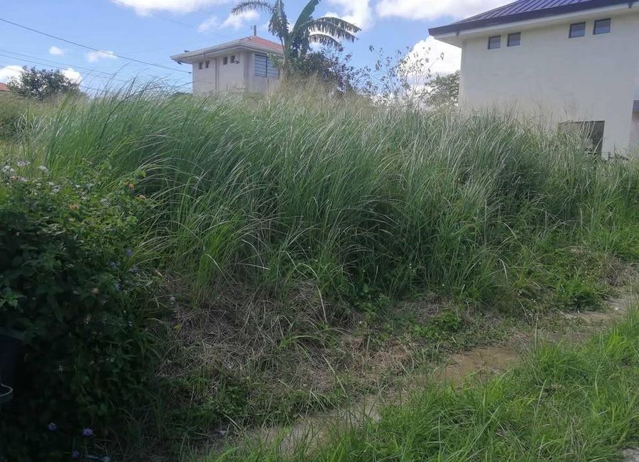 Amazon Street, Avida Woodhill Settings, Canlubang, Calamba, Laguna image 2