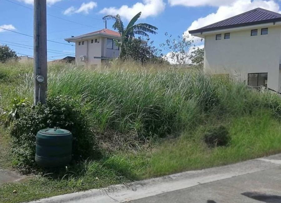 Amazon Street, Avida Woodhill Settings, Canlubang, Calamba, Laguna image 3
