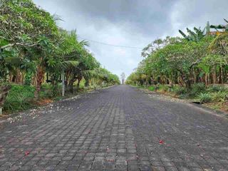 Tanah Kavling Harga Ekonomis, Lokasi Strategis di Siyut, Gianyar dkt By Pass IB Mantra
