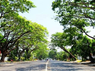 AYALA ALABNAG VILLAGE FOR SALE VACANT LOT NEAR PALMS POINTE ALABANG DAANG HARI ROAD AYALA SOUTHVALE