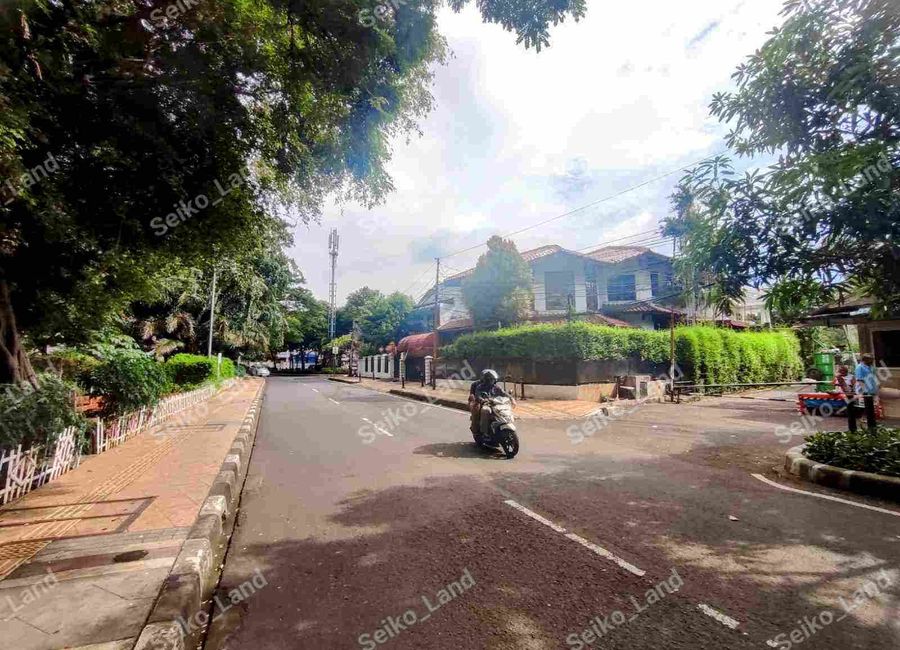 place photo 3