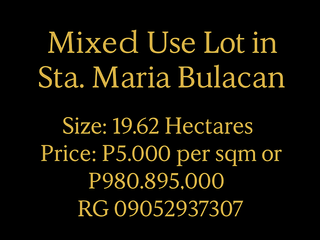 For Sale: Mixed-Use Property (Agricultural, Industrial, Residential) in Sta. Maria, Bulacan