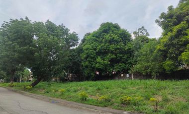 For Sale Lot in Fairway View Filinvest 210s.qm Brgy. Salawag Dasma Cavite near Villar City Beside Orchard Golf Course