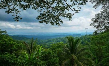 TAGAYTAY 33.6-HECTARE TITLED LAND FOR SALE OR JOINT VENTURE