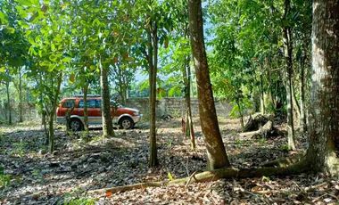 FARM LOT IN LIPA BATANGAS