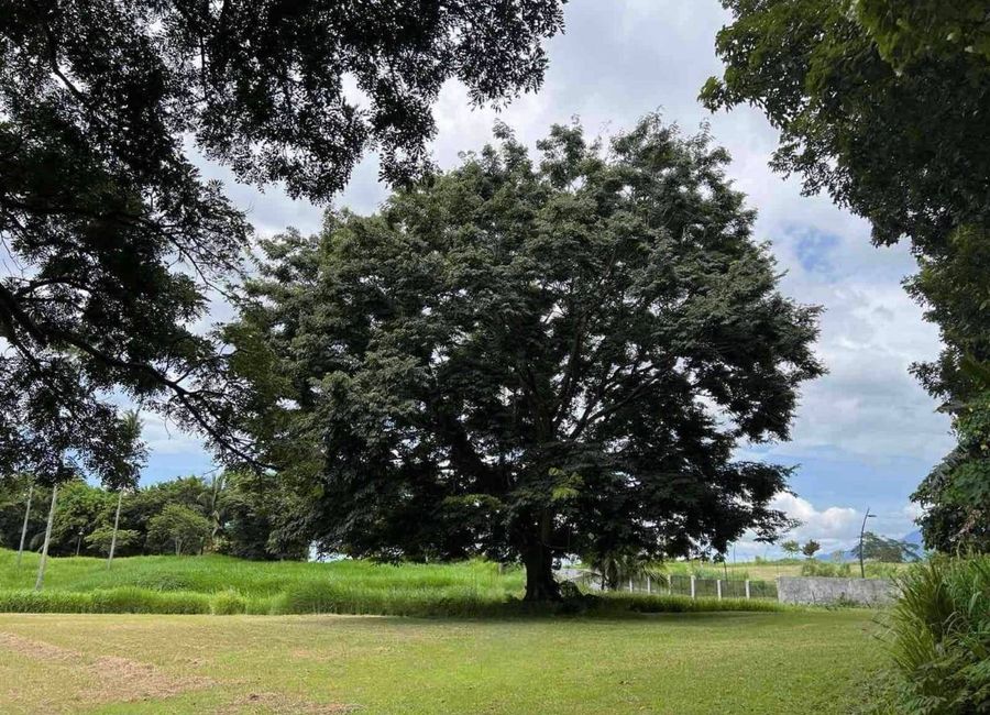 Montecito Nuvali, Canlubang, Calamba, Laguna
