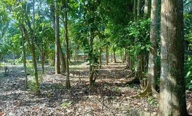 FARM LOT IN LIPA BATANGAS
