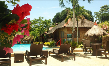 Operational Resort for Sale located in Panglao Island, Bohol