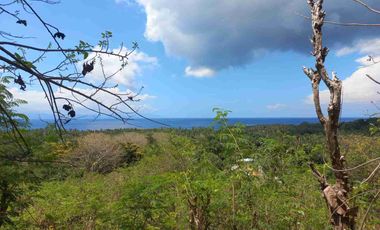 ocean view land in Ped nusa penida with very good deal of price, ready to go