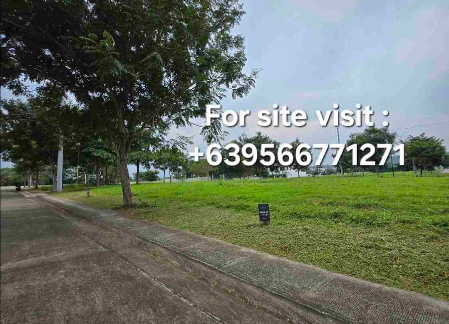 Trade Avenue, Loma, Biñan, Laguna