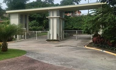 334 SQM lot for sale in Vera Estates Mandaue Cebu