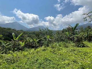 Di jual tanah di kawasan pariwisata dengan view gunung dan sawah, di ketinggian  800 MDPL