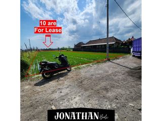 FOR LEASEHOLD – LAND IN CEMAGI BEACH AREA (PINK ZONE) - LSME