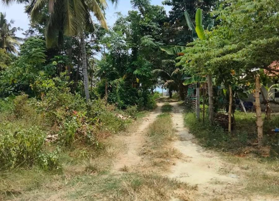 place photo 9
